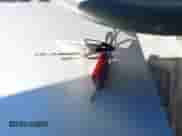 2000 Toyota Camry LE z VIN JT2BG22KXY0428953, wystawiony jako IAAI lot #43458115 z przebiegiem 158 994 mil mil oraz . Historia ofert i sprzedaży dostępna na DreamBid. Obrazek 11.