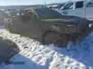 2005 Dodge Dakota ST with VIN 1D7HW22K15S177640, listed as a Copart auction lot 86789194 with Not provided miles and Salvage title. Bid and sale history available at DreamBid. Image 4.