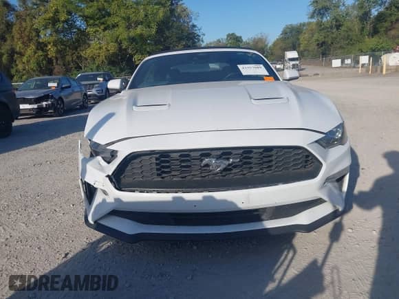 2023 Ford Mustang EcoBoost with VIN 1FATP8UH4P5105036, listed as a IAAI auction lot 43357689 with 61,296 mi miles and . Bid and sale history available at DreamBid. Image 12.