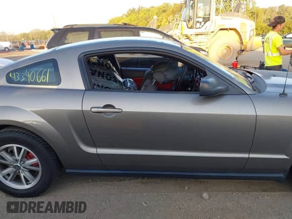 2005 Ford Mustang Deluxe with VIN 1ZVFT80N855119319, listed as a IAAI auction lot 43340661 with 106,385 mi miles and . Bid and sale history available at DreamBid. Image 13.