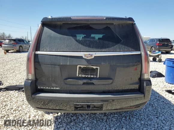 2018 Cadillac Escalade Platinum with VIN 1GYS4DKJXJR220277, listed as a Copart auction lot 48487265 with 96,642 mi miles and Clean title. Bid and sale history available at DreamBid. Image 6.