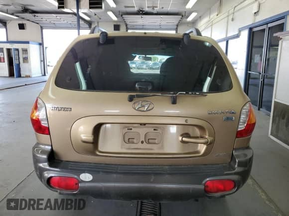 2003 Hyundai Santa Fe LX с VIN KM8SC73E73U536341, выставлен на аукционе Copart как лот 82143435 с пробегом 91 089 миль миль и Списание • Salvage title. История ставок и продаж доступна на DreamBid. Изображение 6.