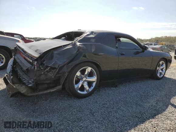 2014 Dodge Challenger R/T Plus with VIN 2C3CDYBT9EH225788, listed as a Copart auction lot 76181114 with Not provided miles and Salvage title. Bid and sale history available at DreamBid. Image 3.
