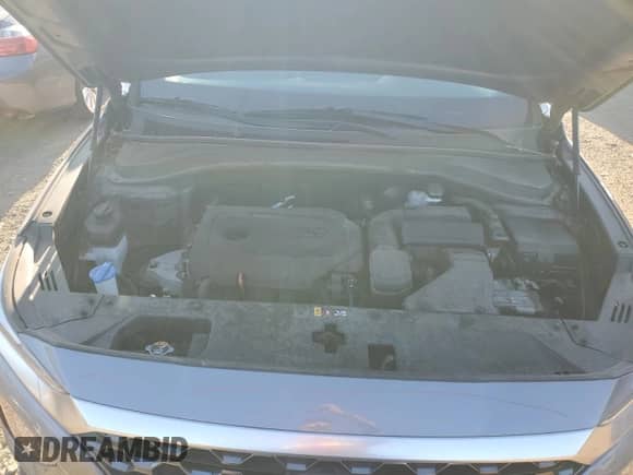 2020 Hyundai Santa Fe SEL с VIN 5NMS3CADXLH178683, выставлен на аукционе Copart как лот 70299465 с пробегом 85 816 миль миль и Списание • Salvage title. История ставок и продаж доступна на DreamBid. Изображение 11.