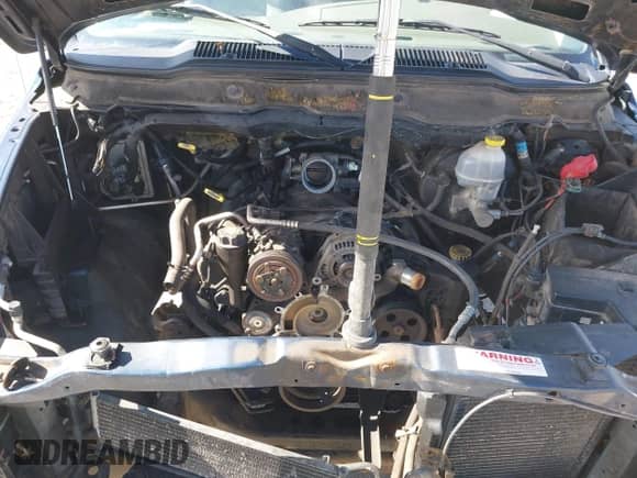 2002 Dodge 1500 с VIN 1D7HU16N72J134359, выставлен на аукционе IAAI как лот 42308118 с пробегом 120 369 миль миль и . История ставок и продаж доступна на DreamBid. Изображение 10.