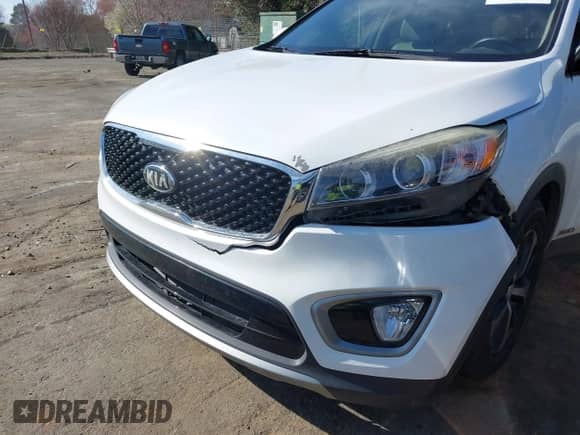 2016 Kia Sorento EX z VIN 5XYPHDA19GG145323, wystawiony jako IAAI lot #41788183 z przebiegiem 120 756 mil mil oraz . Historia ofert i sprzedaży dostępna na DreamBid. Obrazek 6.