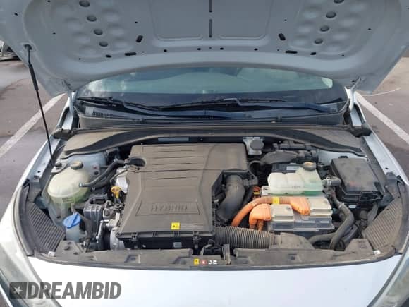 2019 Hyundai Ioniq Blue with VIN KMHC65LC6KU113313, listed as a IAAI auction lot 43243334 with 165,681 mi miles and . Bid and sale history available at DreamBid. Image 10.