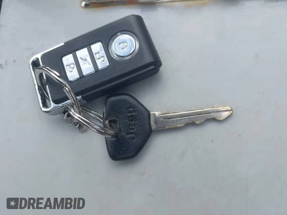 1996 Jeep Grand Cherokee Limited с VIN 1J4GZ78Y0TC163378, выставлен на аукционе IAAI как лот 43537935 с пробегом 251 488 миль миль и . История ставок и продаж доступна на DreamBid. Изображение 11.