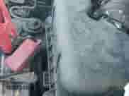 2009 Toyota Sienna CE с VIN 5TDZK23C09S254627, выставлен на аукционе IAAI как лот 43174057 с пробегом 177 581 миль миль и . История ставок и продаж доступна на DreamBid. Изображение 12.