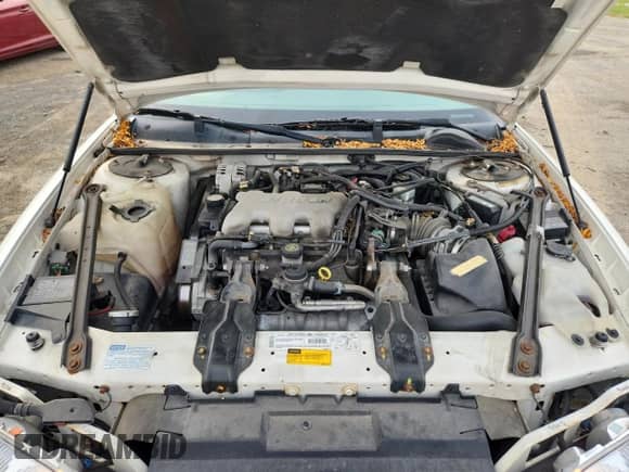 2001 Chevrolet Lumina с VIN 2G1WL52J511224335, выставлен на аукционе Copart как лот 81654855 с пробегом 969 449 миль миль и На запчасти • Non repairable. История ставок и продаж доступна на DreamBid. Изображение 11.