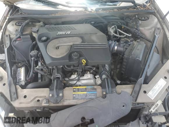 2006 Chevrolet Monte Carlo LT 3.9L с VIN 2G1WK151869216925, выставлен на аукционе Copart как лот 70306265 с пробегом Не указан миль и Списание • Salvage title. История ставок и продаж доступна на DreamBid. Изображение 11.