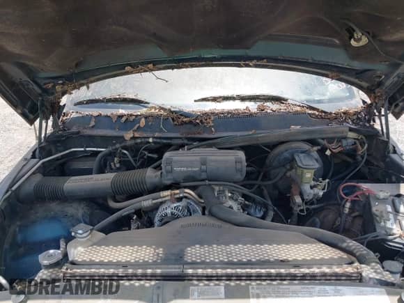 1996 Dodge 1500 with VIN 1B7HC16Y6TS608739, listed as a IAAI auction lot 42415066 with 252,725 mi miles and . Bid and sale history available at DreamBid. Image 10.