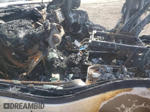 2019 Ford F-150 XL with VIN 1FTEW1EP0KKE97865, listed as a Copart auction lot 81120155 with Not provided miles and Salvage title. Bid and sale history available at DreamBid. Image 7.