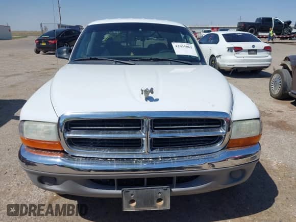 2004 Dodge Dakota SLT with VIN 1D7HL48K34S758499, listed as a IAAI auction lot 42035062 with 145,305 mi miles and . Bid and sale history available at DreamBid. Image 13.