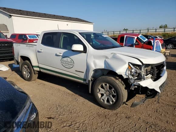 2018 Chevrolet Colorado 4WD LT with VIN 1GCGTCEN0J1182418, listed as a Copart auction lot 80310485 with 289,371 mi miles and Salvage title. Bid and sale history available at DreamBid. Image 4.