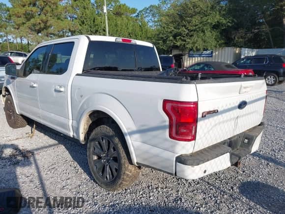 2017 Ford F-150 XL with VIN 1FTEW1EF4HFC71580, listed as a IAAI auction lot 43352168 with 243,317 mi miles and . Bid and sale history available at DreamBid. Image 3.
