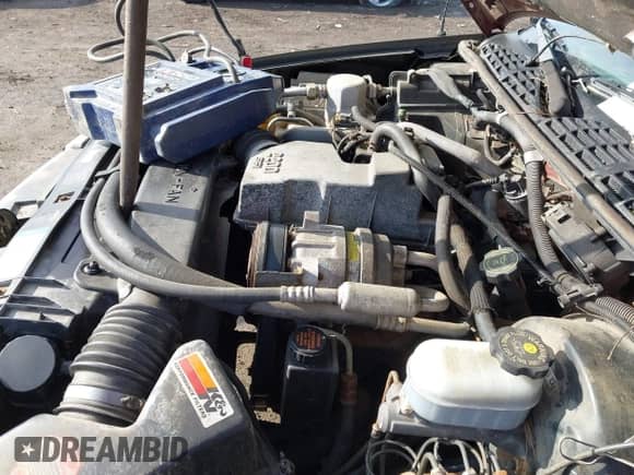 1998 Chevrolet S-10 LS with VIN 1GCCS1444WK131553, listed as a IAAI auction lot 41991278 with 203,639 mi miles and . Bid and sale history available at DreamBid. Image 10.