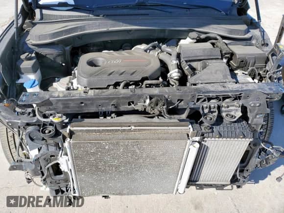 2019 Hyundai Santa Fe Limited z VIN 5NMS53AA5KH072561, wystawiony jako Copart lot #47858945 z przebiegiem 45 323 mil mil oraz Szkoda całkowita • Salvage title. Historia ofert i sprzedaży dostępna na DreamBid. Obrazek 12.