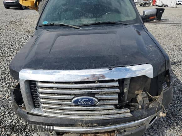2010 Ford F-150 XL with VIN 1FTEW1C88AFB18291, listed as a Copart auction lot 84047165 with 286,210 mi miles and Salvage title. Bid and sale history available at DreamBid. Image 11.