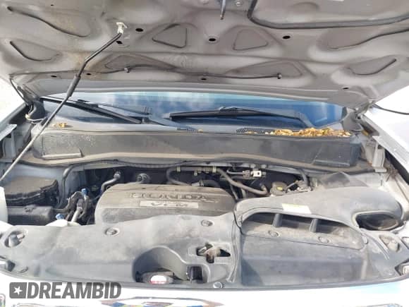 2009 Honda Pilot EX with VIN 5FNYF48429B044810, listed as a IAAI auction lot 42974224 with Not provided miles and . Bid and sale history available at DreamBid. Image 10.