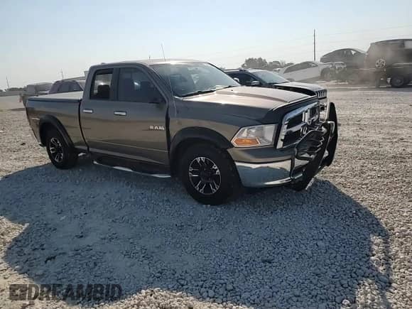 2009 Dodge 1500 SLT with VIN 1D3HB18P89S780875, listed as a Copart auction lot 75644624 with 99,614 mi miles and Salvage title. Bid and sale history available at DreamBid. Image 10.