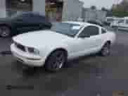 2005 Ford Mustang Deluxe with VIN 1ZVFT80N355148498, listed as a IAAI auction lot 43543649 with 191,853 mi miles and . Bid and sale history available at DreamBid. Image 2.