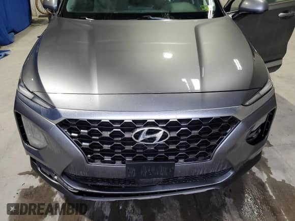2019 Hyundai Santa Fe SEL with VIN 5NMS3CAD7KH134980, listed as a Copart auction lot 81553765 with Not provided miles and Salvage title. Bid and sale history available at DreamBid. Image 12.