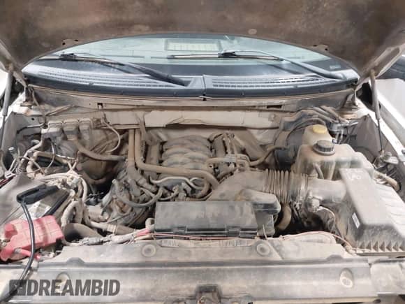 2014 Ford F-150 STX z VIN 1FTFW1EF8EKD60480, wystawiony jako IAAI lot #43467975 z przebiegiem 123 522 mil mil oraz . Historia ofert i sprzedaży dostępna na DreamBid. Obrazek 10.