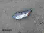 2020 Mitsubishi Outlander ES с VIN JA4AZ3A36LZ024494, выставлен на аукционе Copart как лот 72065255 с пробегом 104 831 миль миль и Списание • Salvage title. История ставок и продаж доступна на DreamBid. Изображение 13.