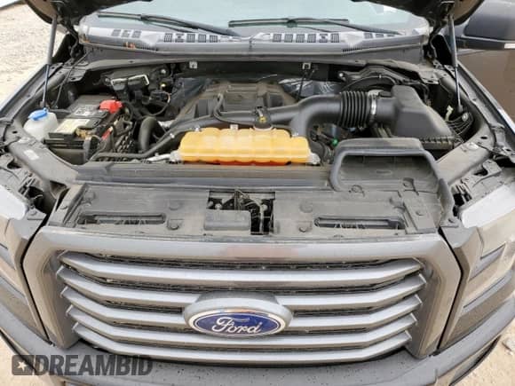 2016 Ford F-150 XLT with VIN 1FTEW1EP8GFD51858, listed as a Copart auction lot 81843685 with 98,293 mi miles and Salvage title. Bid and sale history available at DreamBid. Image 11.