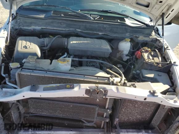 2005 Dodge 1500 SLT with VIN 1D7HU18N05J594142, listed as a Copart auction lot 82609445 with 228,011 mi miles and Clean title. Bid and sale history available at DreamBid. Image 11.