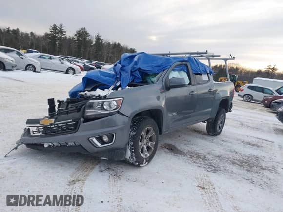 2019 Chevrolet Colorado 4WD Z71 with VIN 1GCPTDE15K1320605, listed as a IAAI auction lot 41354670 with Not provided miles and . Bid and sale history available at DreamBid. Image 17.