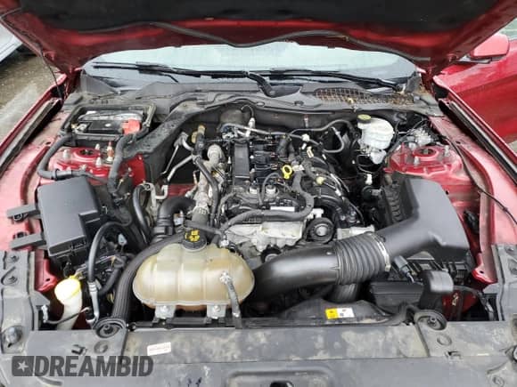2017 Ford Mustang EcoBoost Premium с VIN 1FA6P8TH3H5231209, выставлен на аукционе Copart как лот 89716665 с пробегом 110 664 миль миль и Чистый • Clean title. История ставок и продаж доступна на DreamBid. Изображение 11.