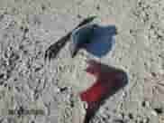 2022 Chevrolet Spark 1LT с VIN KL8CD6SA0NC006969, выставлен на аукционе Copart как лот 70221885 с пробегом 35 754 миль миль и Списание • Salvage title. История ставок и продаж доступна на DreamBid. Изображение 12.