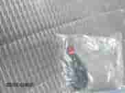 2010 Dodge 1500 SLT с VIN 1D7RV1CT9AS231835, выставлен на аукционе IAAI как лот 42592424 с пробегом Не указан миль и . История ставок и продаж доступна на DreamBid. Изображение 11.