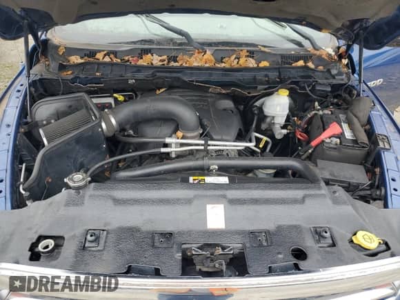 2011 Ram 1500 Sport with VIN 1D7RV1CTXBS582660, listed as a Copart auction lot 82687355 with Not provided miles and Clean title. Bid and sale history available at DreamBid. Image 11.