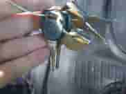 2008 Chevrolet City Express Cargo с VIN 1GBHG396X81151798, выставлен на аукционе IAAI как лот 41468615 с пробегом 349 447 миль миль и . История ставок и продаж доступна на DreamBid. Изображение 11.