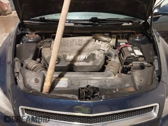 2008 Chevrolet Malibu 2LT с VIN 1G1ZJ577284308983, выставлен на аукционе IAAI как лот 41848518 с пробегом 197 705 миль миль и . История ставок и продаж доступна на DreamBid. Изображение 10.