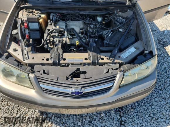 2003 Chevrolet Impala с VIN 2G1WF52E339335917, выставлен на аукционе Copart как лот 69190955 с пробегом 170 318 миль миль и Списание • Salvage title. История ставок и продаж доступна на DreamBid. Изображение 11.