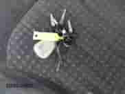 1999 Chevrolet S-10 with VIN 1GCCS1448XK129533, listed as a IAAI auction lot 42841182 with Not provided miles and . Bid and sale history available at DreamBid. Image 11.