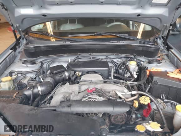 2009 Subaru Forester X Limited с VIN JF2SH64649H714703, выставлен на аукционе IAAI как лот 42500142 с пробегом 219 893 миль миль и . История ставок и продаж доступна на DreamBid. Изображение 10.