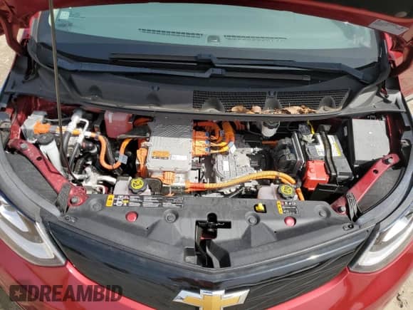 2021 Chevrolet Bolt EV LT z VIN 1G1FY6S09M4105288, wystawiony jako Copart lot #69510253 z przebiegiem 29 644 mil mil oraz . Historia ofert i sprzedaży dostępna na DreamBid. Obrazek 11.