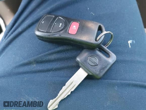 2005 Nissan Pathfinder LE z VIN 5N1AR18U25C791480, wystawiony jako IAAI lot #42846759 z przebiegiem 176 354 mil mil oraz . Historia ofert i sprzedaży dostępna na DreamBid. Obrazek 11.