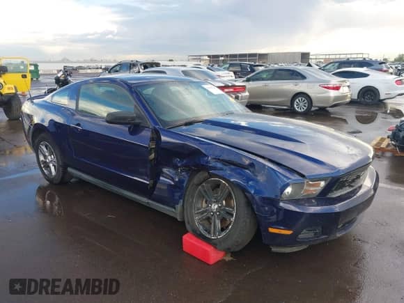 2012 Ford Mustang V6 with VIN 1ZVBP8AM2C5206753, listed as a IAAI auction lot 43494742 with 127,686 mi miles and . Bid and sale history available at DreamBid. Image 6.