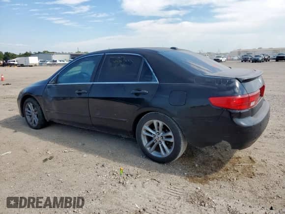 2005 Honda Accord EX-L with VIN 1HGCM56805A002295, listed as a Copart auction lot 81875925 with 305,598 mi miles and Salvage title. Bid and sale history available at DreamBid. Image 2.