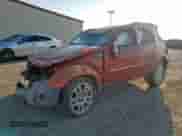 2008 Dodge Nitro SLT with VIN 1D8GT58K88W116145, listed as a Copart auction lot 80491905 with Not provided miles and Salvage title. Bid and sale history available at DreamBid. Image 1.
