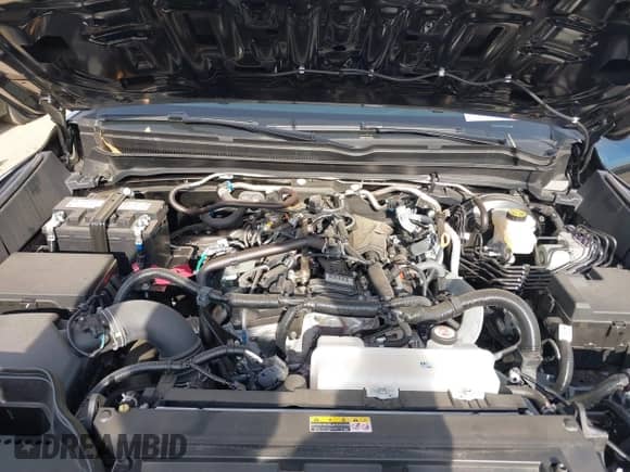2024 Toyota Tacoma SR with VIN 3TYKD5HN5RT003937, listed as a IAAI auction lot 41339802 with 13,117 mi miles and . Bid and sale history available at DreamBid. Image 10.