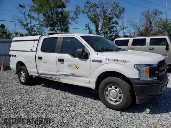 2019 Ford F-150 XL with VIN 1FTFW1E58KKF20215, listed as a Copart auction lot 52313465 with 59,255 mi miles and Salvage title. Bid and sale history available at DreamBid. Image 4.