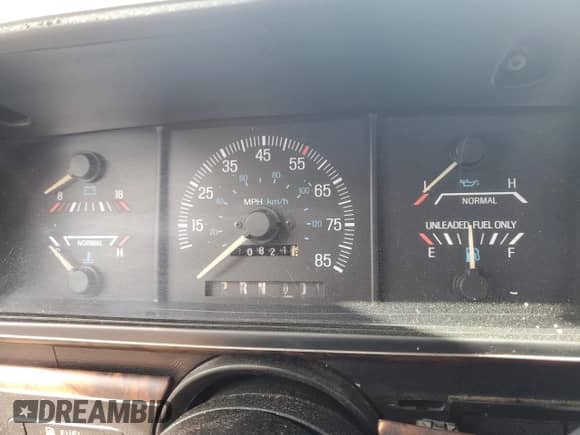 1990 Ford F-150 with VIN 1FTEF15N9LNA45119, listed as a Copart auction lot 84592895 with 30,821 mi miles and Salvage title. Bid and sale history available at DreamBid. Image 9.