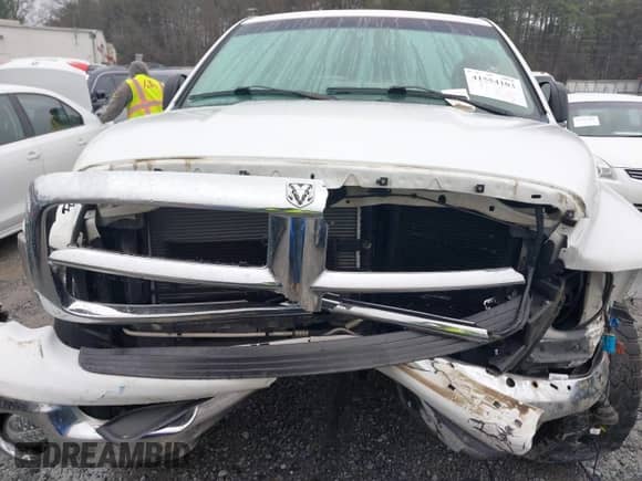 2002 Dodge RAM with VIN 3D3HA18N02G198817, listed as a IAAI auction lot 41554103 with 209,767 mi miles and . Bid and sale history available at DreamBid. Image 6.